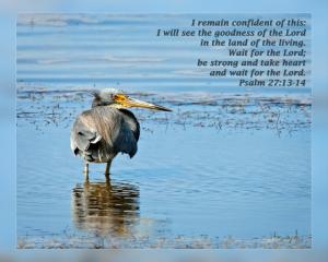 Daily Scripture Art Psalm 27 13-14